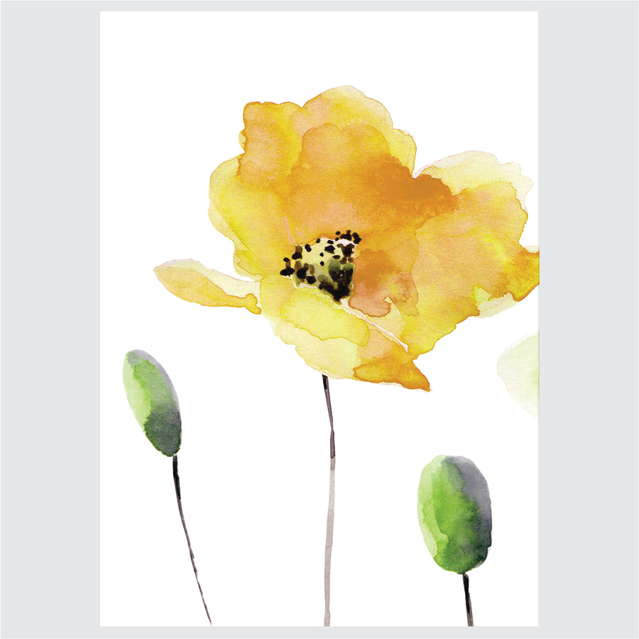 Spring Flowers - Posteri (bez okvira) ili Slike Na Platnu (spremne za na zid)