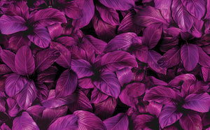 *RASPRODAJA* Purple Leaves - Zidna tapeta 370x230 cm