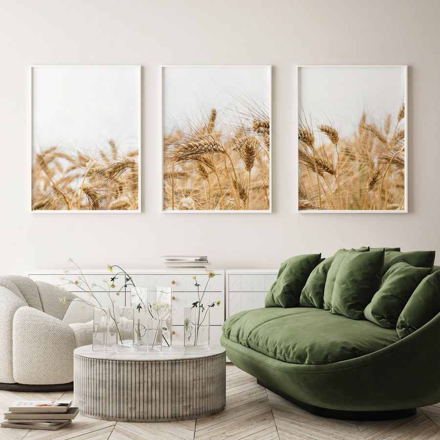 Wheat Field - Komplet ilustracija za dom