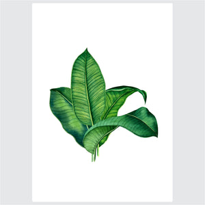 Leaf Collection - Posteri (bez okvira) ili Slike Na Platnu (spremne za na zid)