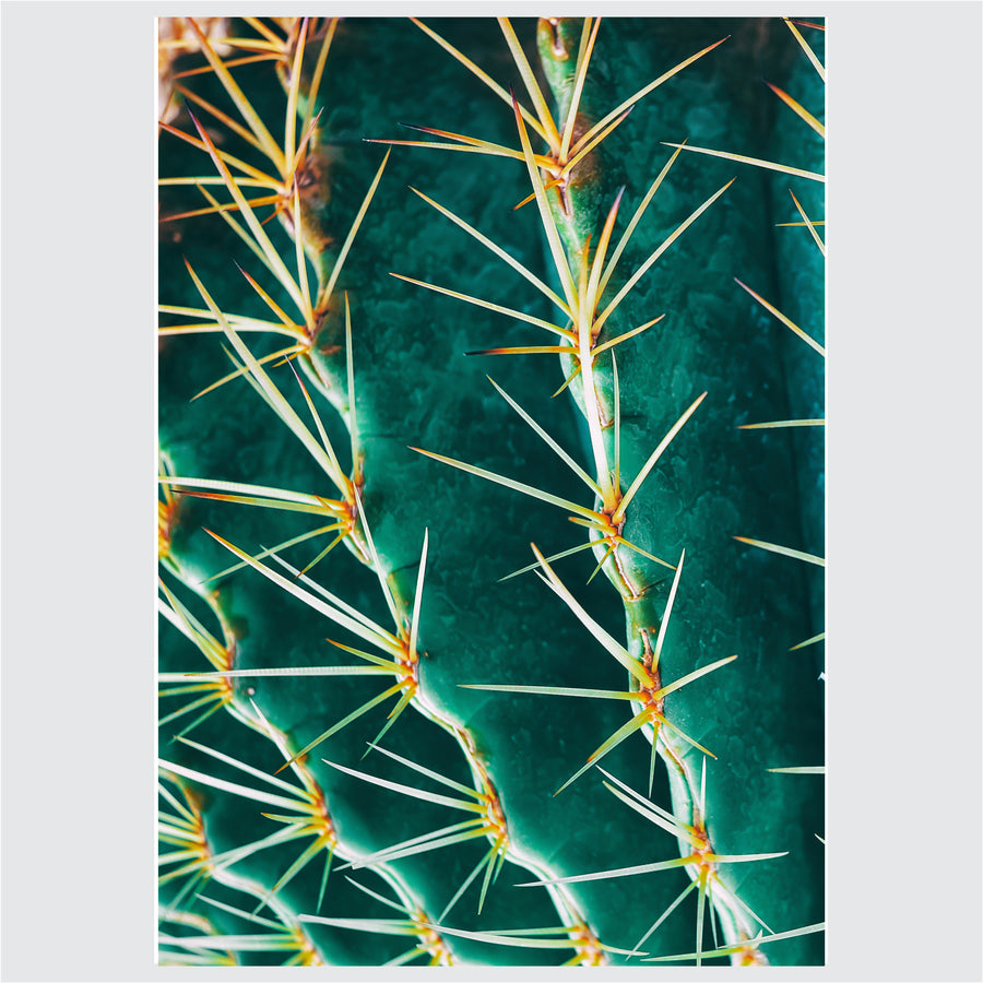 Plant Love - Posteri (bez okvira) ili Slike Na Platnu (spremne za na zid)