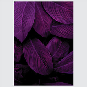 Game of Purple - Posteri (bez okvira) ili Slike Na Platnu (spremne za na zid)