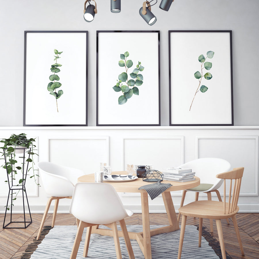 Kompleti Ilustracija Za Dom - Simple Eucalyptus - Komplet Ilustracija Za Dom
