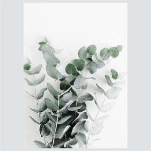 Succulents & Eucalyptus - Komplet ilustracija za dom