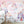 Učitaj sliku u galeriju Zidna Tapeta Za Dječju Sobu - Mural - Magic Unicorn Zidna Tapeta - Mural
