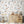 Učitaj sliku u galeriju Zidna Tapeta Za Dječju Sobu - Pattern - Scandiavian Animals Zidna Tapeta Za Dječju Sobu - Pattern
