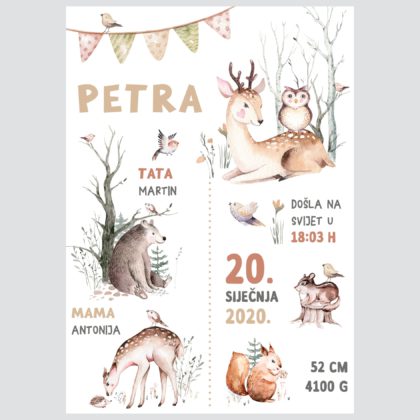 Personalizirani dječji poster ili slika na platnu | Fairy Forest