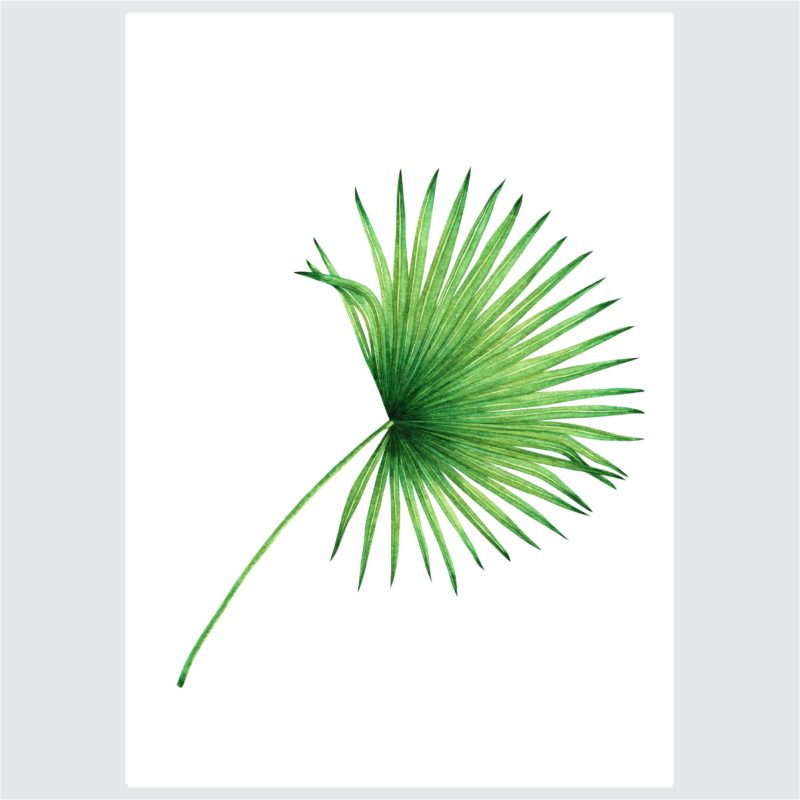Posteri ili Slike na platnu | Leaf Collection - Slika 4