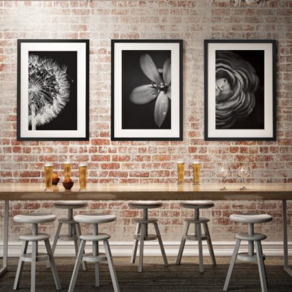 Posteri ili Slike na platnu | B&W Flowers Close Up