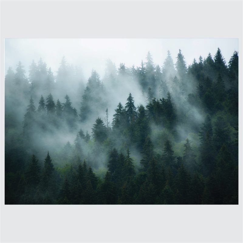 Posteri ili Slike na platnu | Stairway to Heaven - Slika 4
