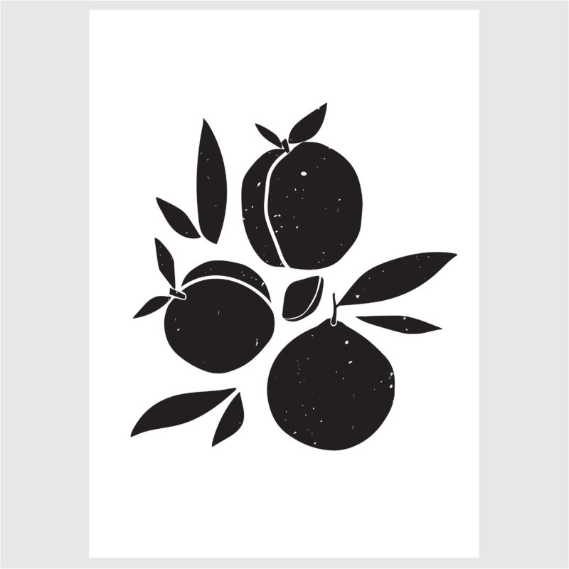 Kompleti Ilustracija Za Dom - B&W Fruits - Komplet Ilustracija Za Dom