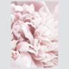 Posteri ili Slike na platnu | Gentle Bouquet - Slika 4