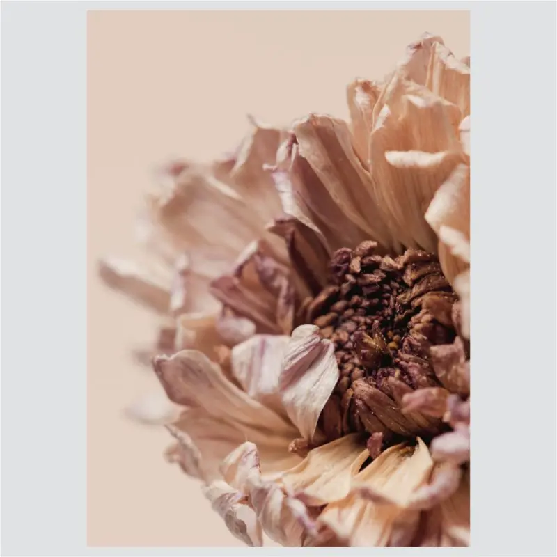 Posteri ili Slike na platnu | Watercolor & Flowers - Slika 4