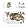 Naljepnice za zid dječje sobe | Owl's Secret Life | HIAWorkshop® - Slika 2