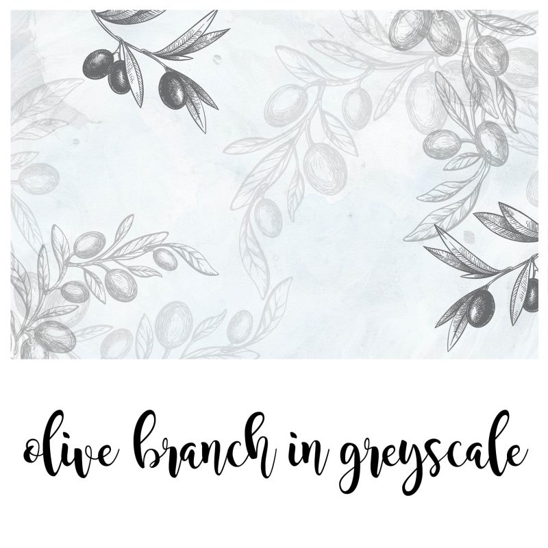 Zidna tapeta "Olive Branch Greyscale"