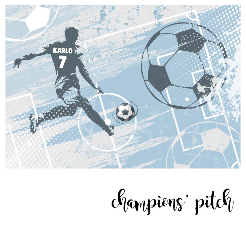 zidna tapeta champions pitch