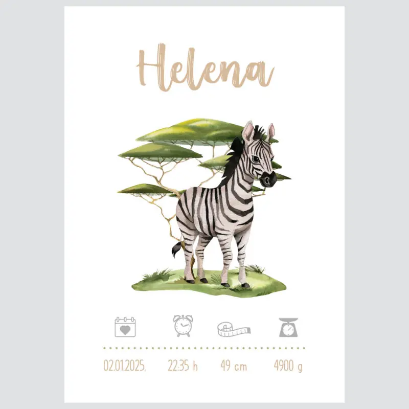 Personalizirani dječji poster s motivom zebre - detaljni prikaz